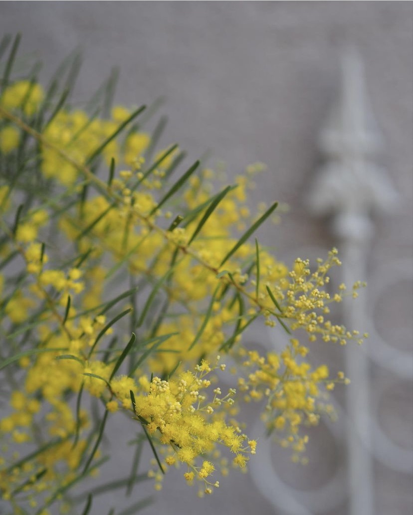 167de07435c19761feaf82923d7c3f