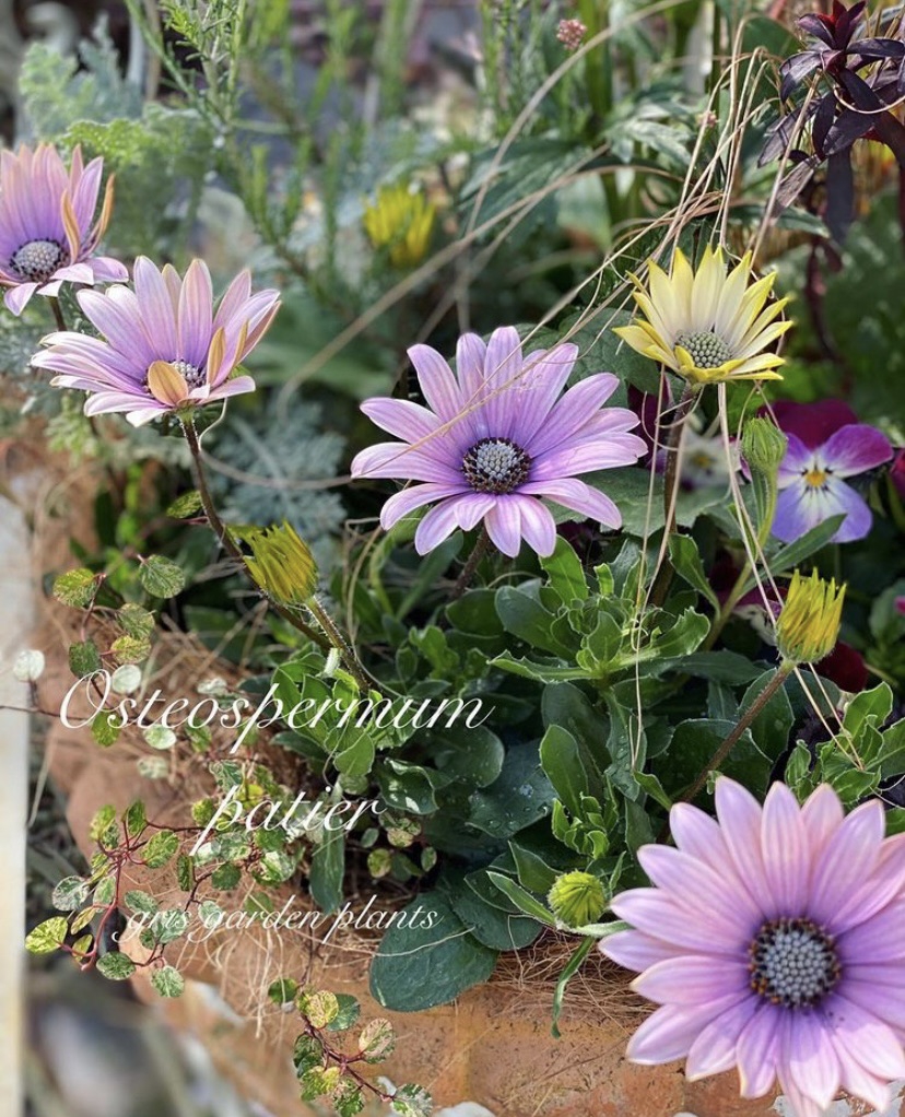 16eba51a23c0f36ce82d0804bc457b