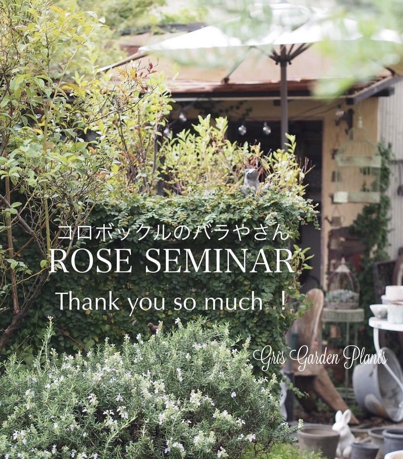 京都のバラ専門の園芸店 コロボックルのばらやさん | gris garden plants