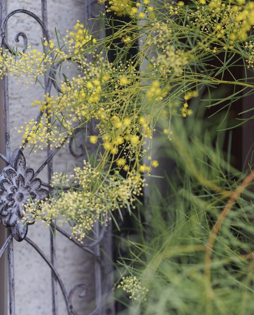 c50aa5caefd4b5f1420a9323a24f7d