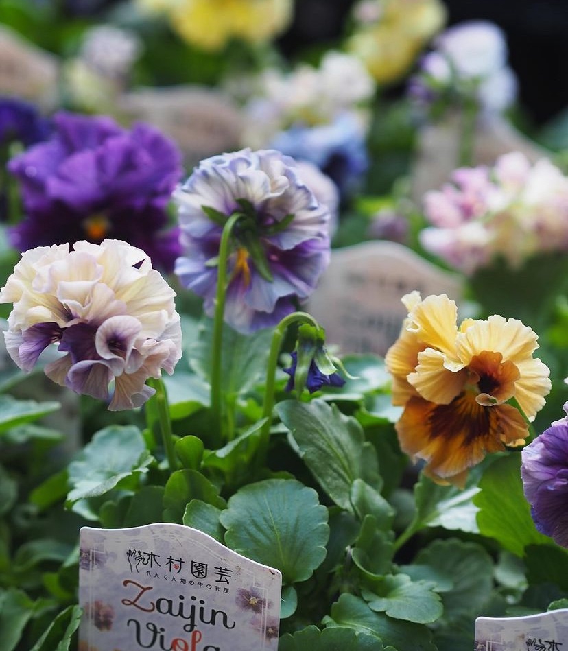 e0062b750aa811ebecee4fe0cffad9