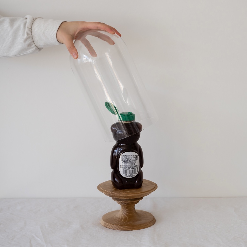 アッシュ材ウッドコンポート ガラスドームスタンド L | 家具工房アート