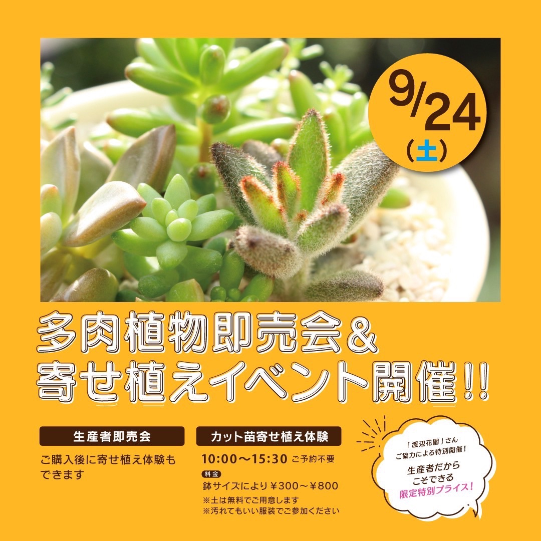 多肉植物イベント！ユニディ相模大野店 | 株式会社 渡辺花園 w-kaen.com