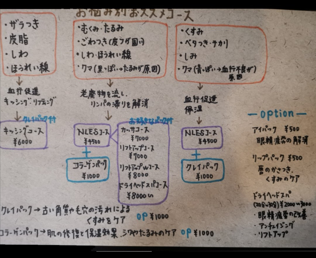 お肌のお悩み別オススメコース Nles Nara Lady Este Shaving