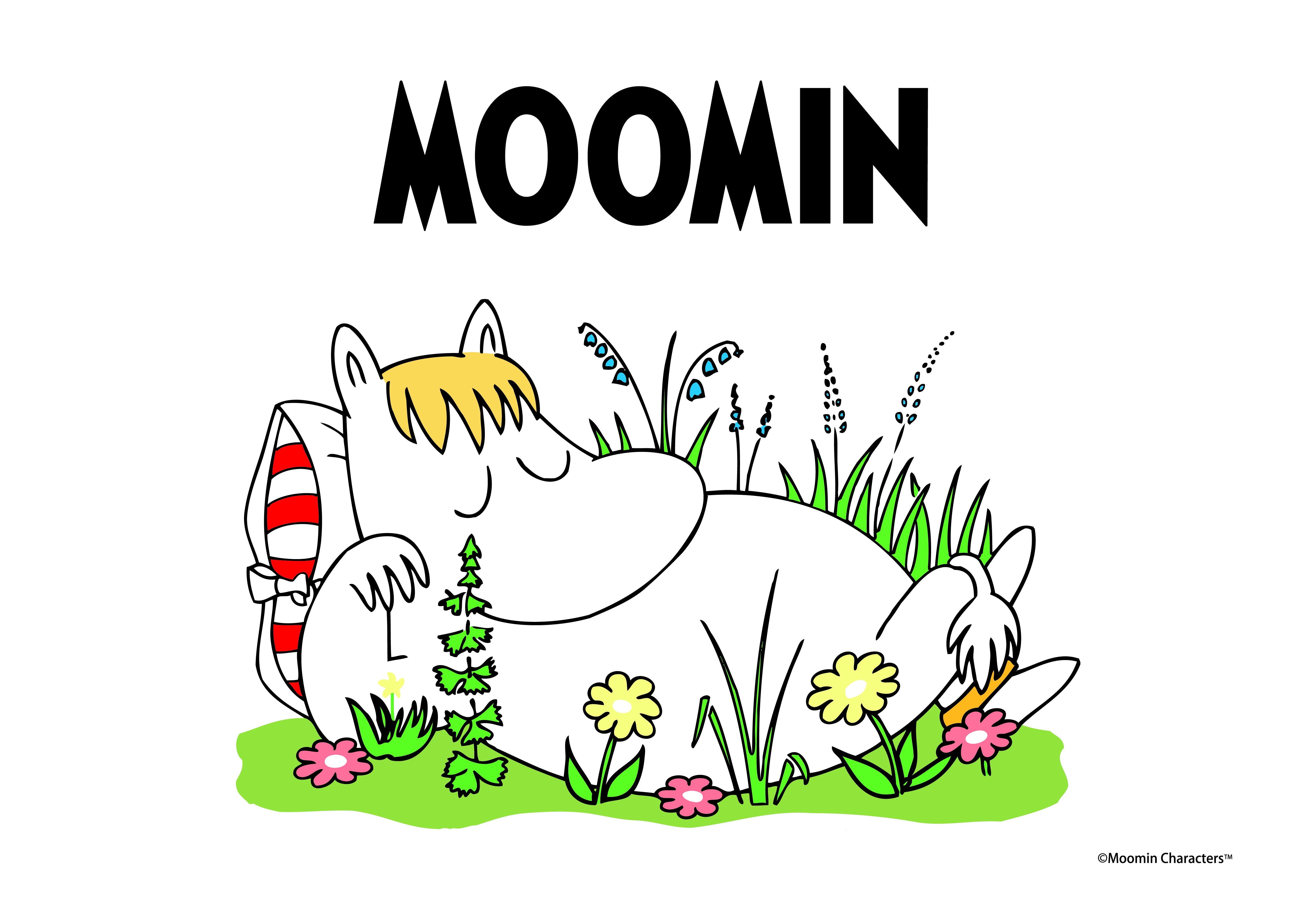 MOOMIN COLLABORATION | strober