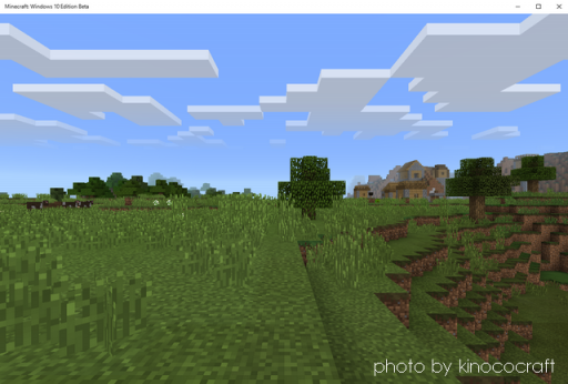 Seed 絶景 Minecraft Seed S