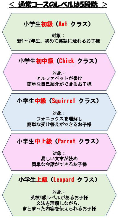 コース アイネス英会話スクール Ines English School コース アイネス英会話スクール Ines English School
