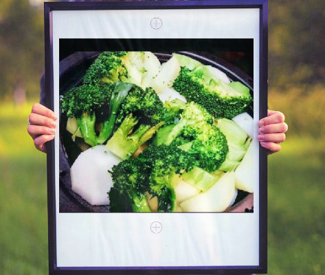 食事 Alvo 人 動物のエネルギー調整