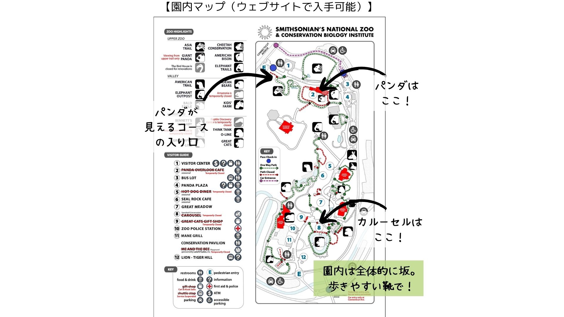 -176\\ 　図変り　印判　動物園 Amazon | 京都ちせん 木製 御朱印帳 大判 高級 吉野ひのき 装丁