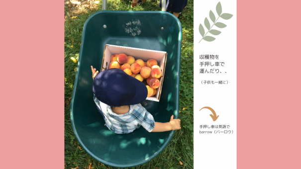 フルーツ狩りへでかけよう 春 夏編 Dc Portal For Japanese フルーツ狩りへでかけよう 春 夏編 Dc Portal For Japanese