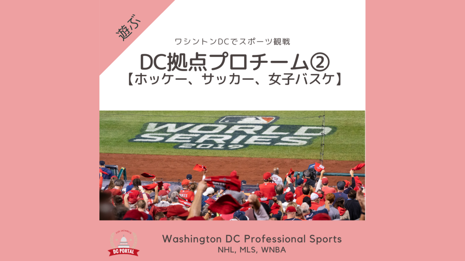 Dc拠点プロチーム ホッケー サッカー 女子バスケ ワシントンdcでスポーツ観戦 Dc Portal For Japanese