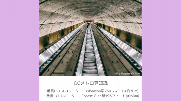 4c5e06e74fcb6ec8f65dcd376f1399