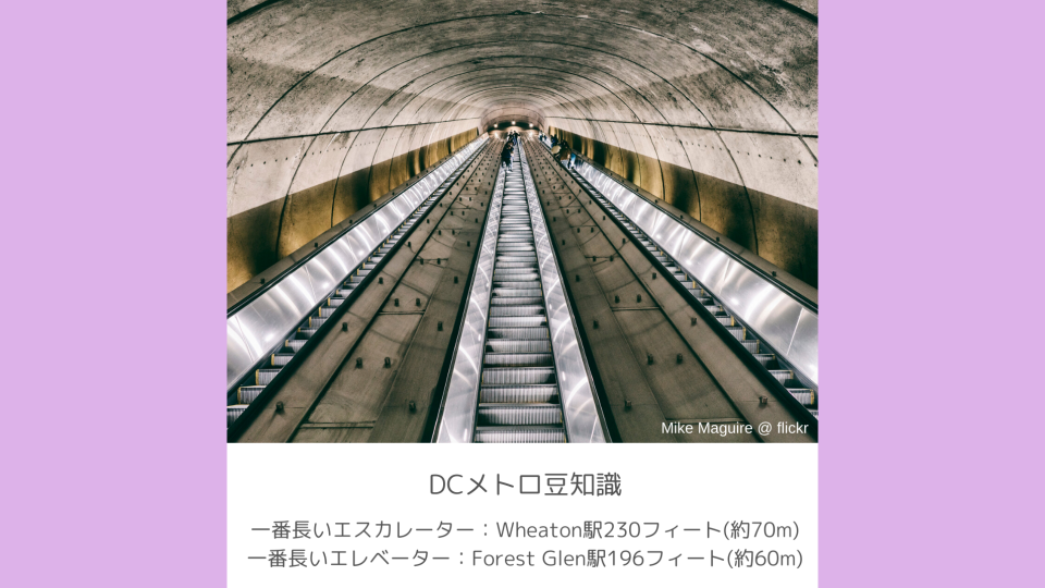 DCメトロ事情②｜詳しい乗り方 | DC Portal for Japanese