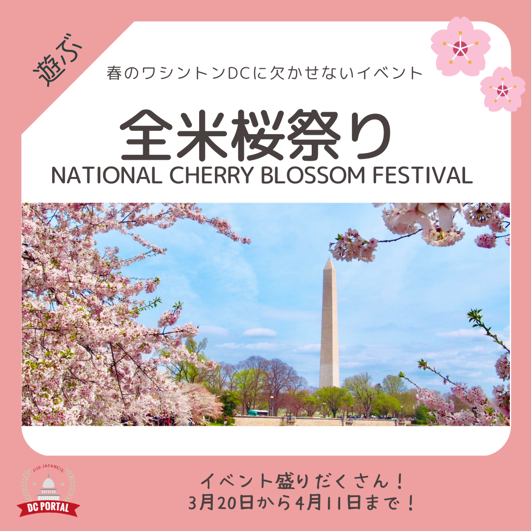 ワシントンdc全米桜祭り Nationalcherryblossomfestival Dc Portal For Japanese
