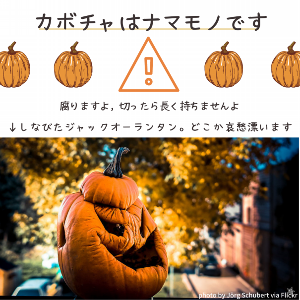 ハロウィーンまで長持ちするjack O Lanternの作り方 Dc Portal For Japanese