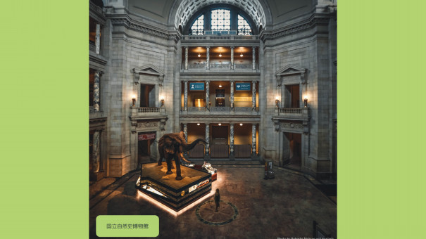 世界最大の博物館 スミソニアン博物館 ワシントン Dc Dc Portal For Japanese 世界最大の博物館 スミソニアン博物館 ワシントン Dc Dc Portal For Japanese