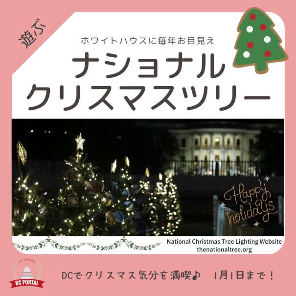 ナショナルクリスマスツリー｜ホワイトハウス | DC Portal for Japanese