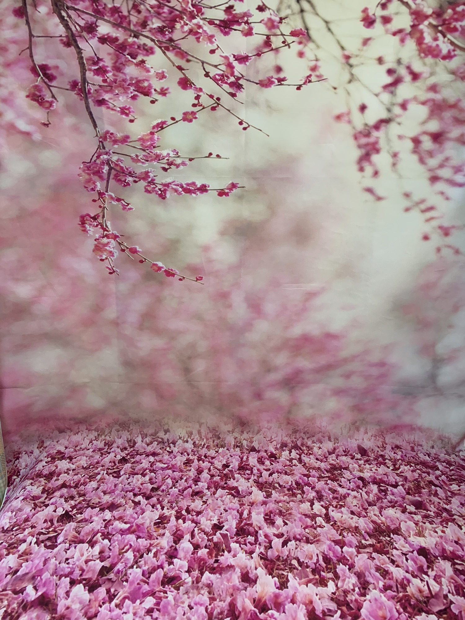 4月のフォトブース🌸 | Aloha Dog Trimming Salon