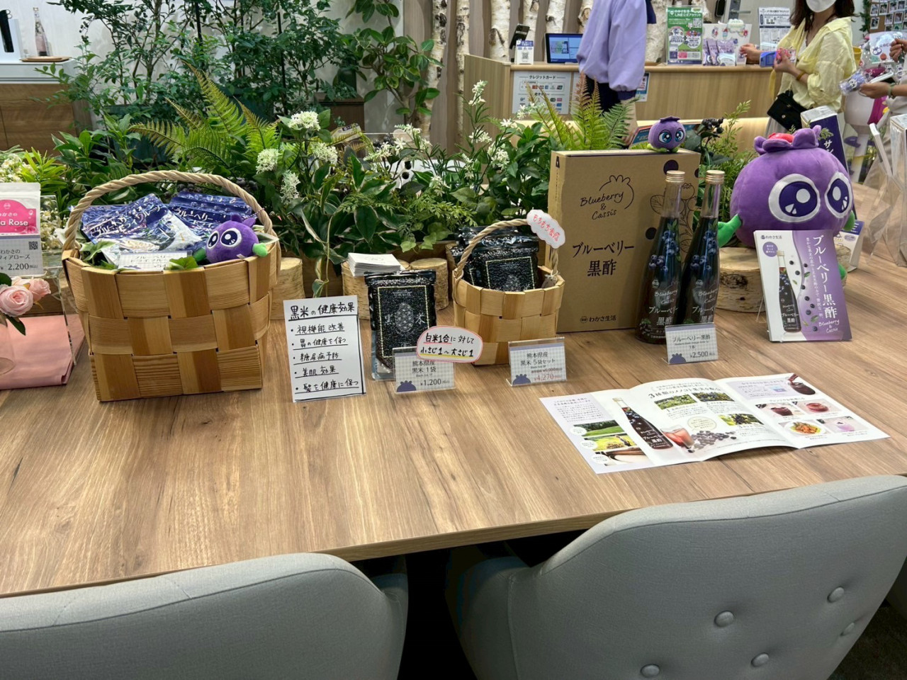 「八日市高校」×「わかさ生活」さんとのコラボ企画