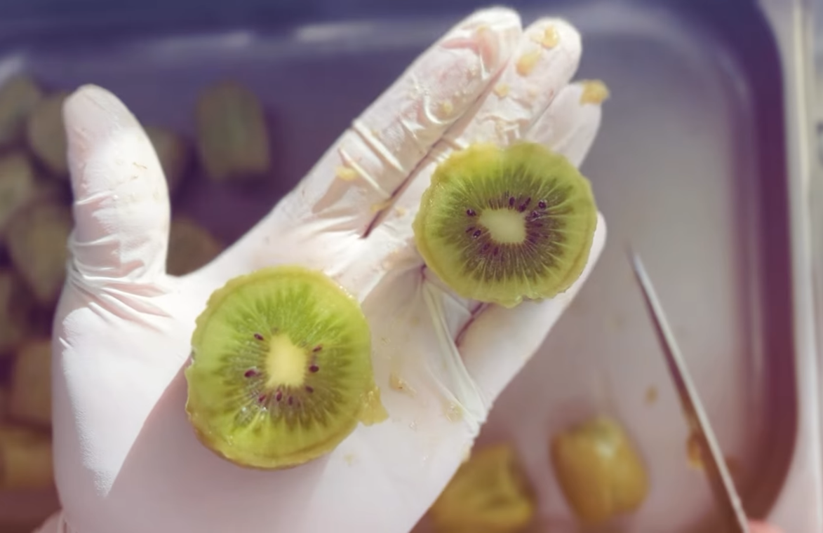 キウイを剥く小ワザ紹介とアイデア募集