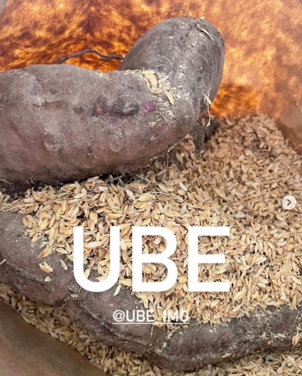 ウベ芋（紫色の山芋）アイスへの挑戦