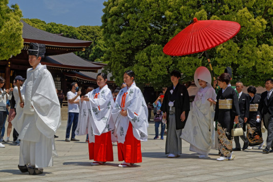 福岡で神前式の挙式を挙げるならこの神社 Bridal Information