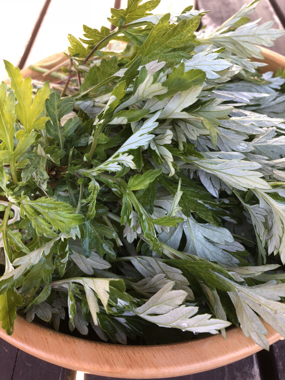 よもぎの 抗糖化作用 はスゴイ 飯塚市よもぎハーブ蒸しサロン 温香 Onka よもぎの 抗糖化作用 はスゴイ 飯塚市よもぎハーブ蒸しサロン 温香 Onka
