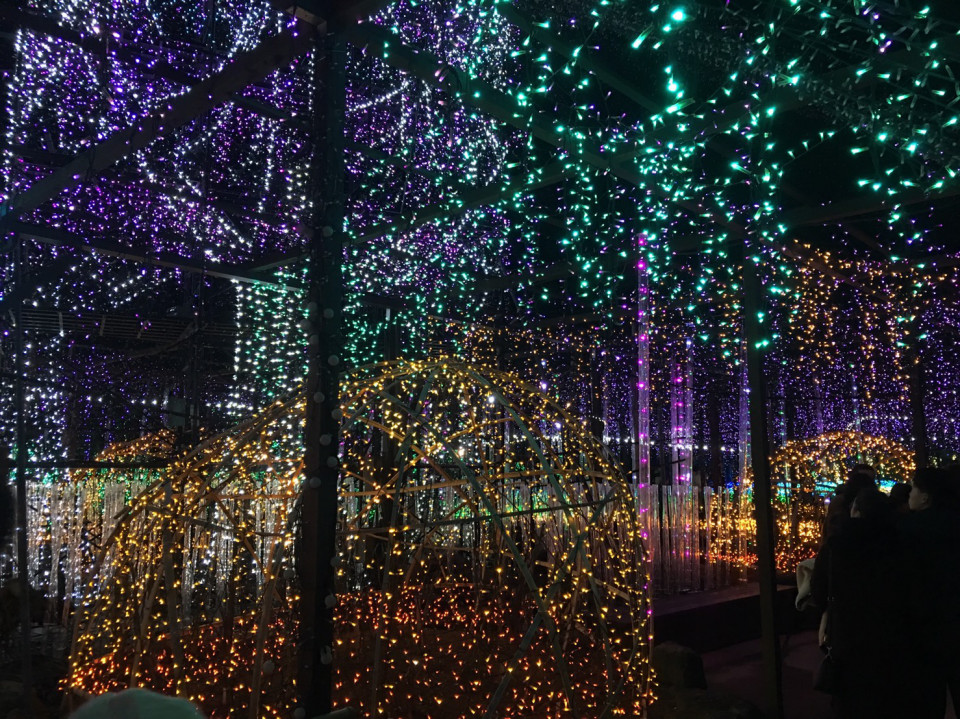 由志園 令和二年 島根大学医学部新入生歓迎会