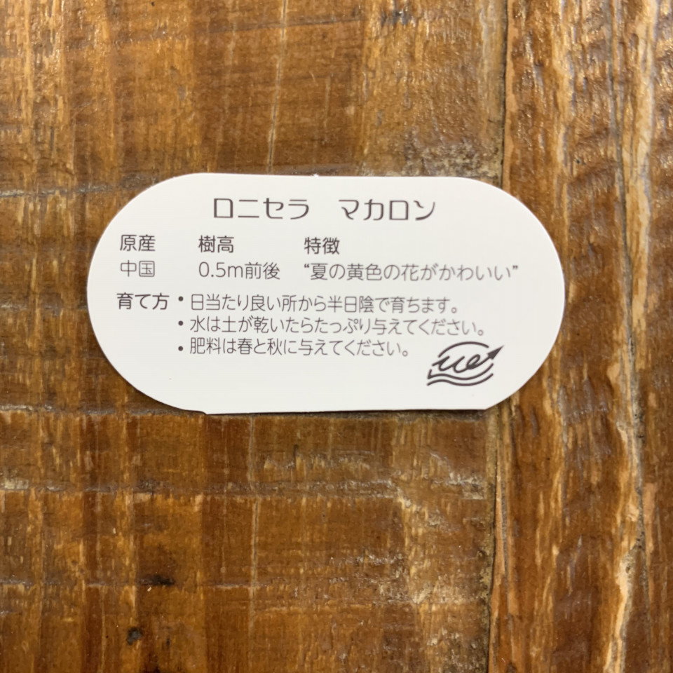 ロニセラ マカロン Tomoyono Oniwa ロニセラ マカロン Tomoyono Oniwa