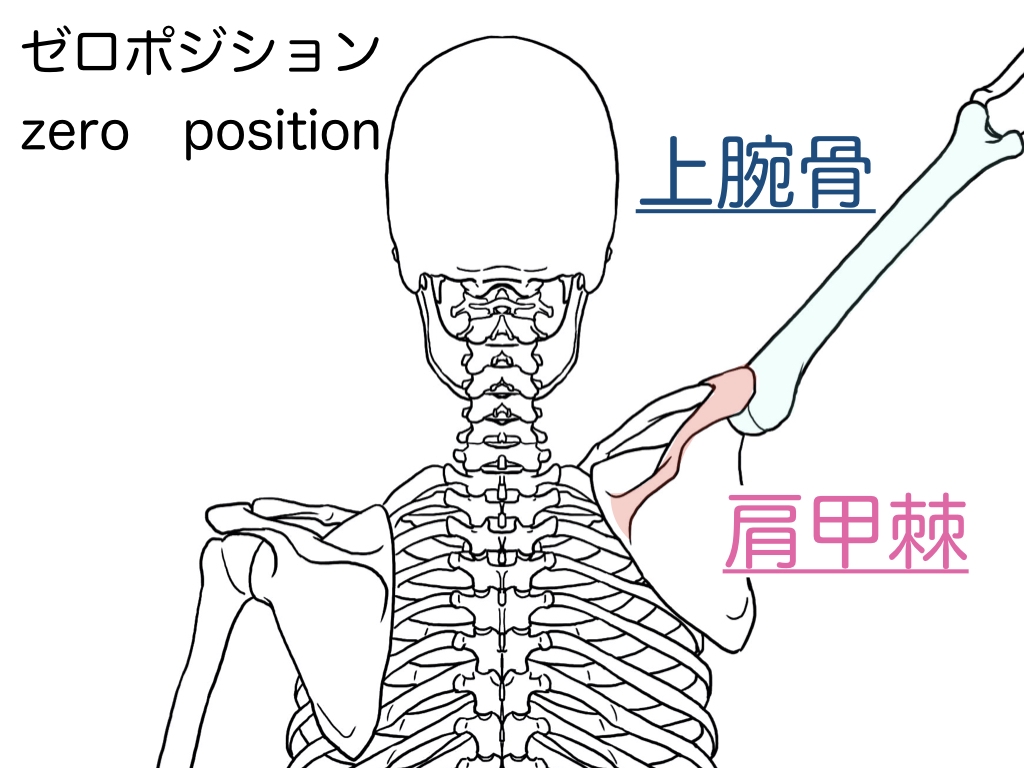 投球の常識 ゼロポジション | トレーナー井上健太のblog