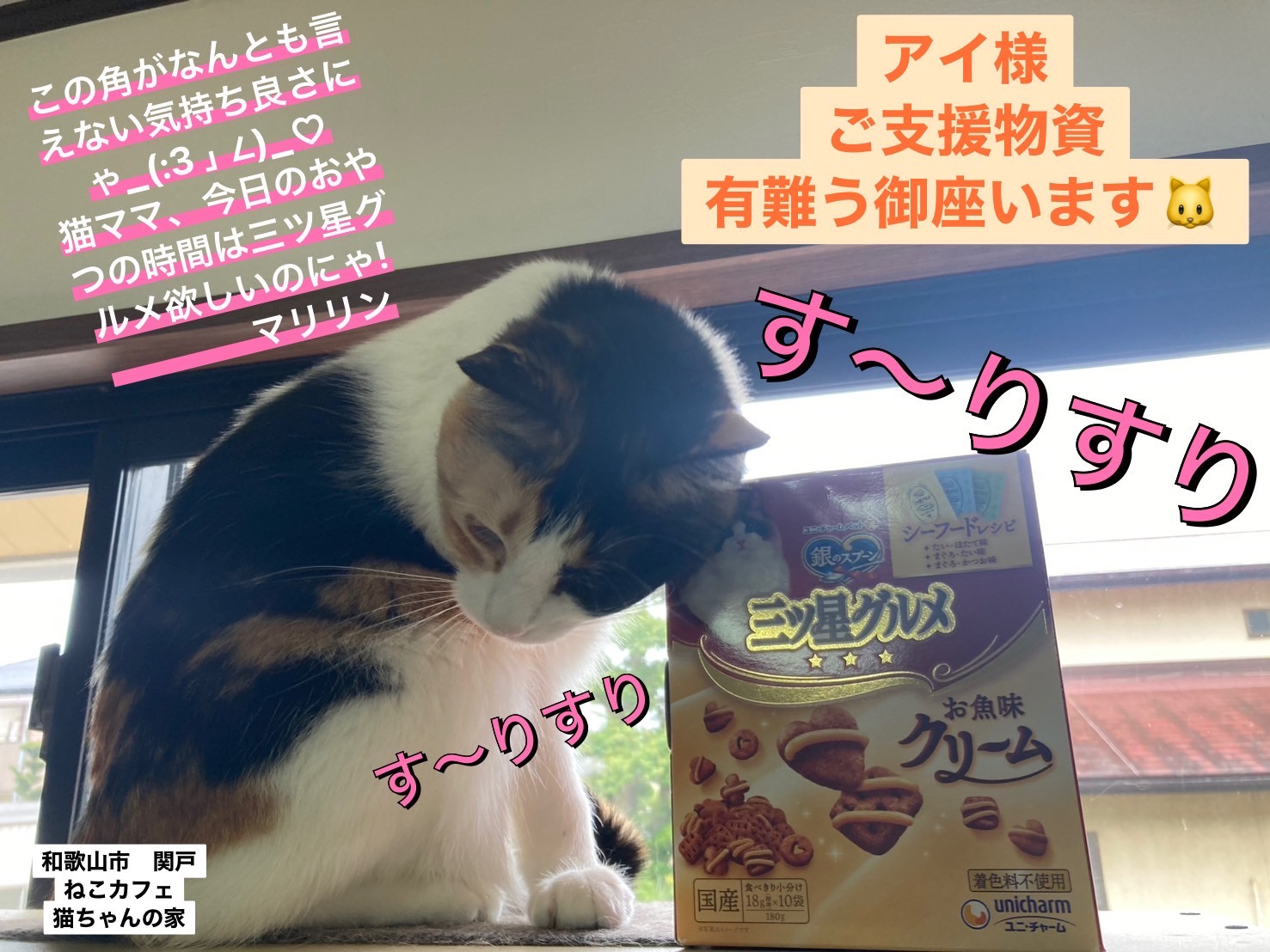猫ちゃんの家 ねこカフェ猫ちゃんの家