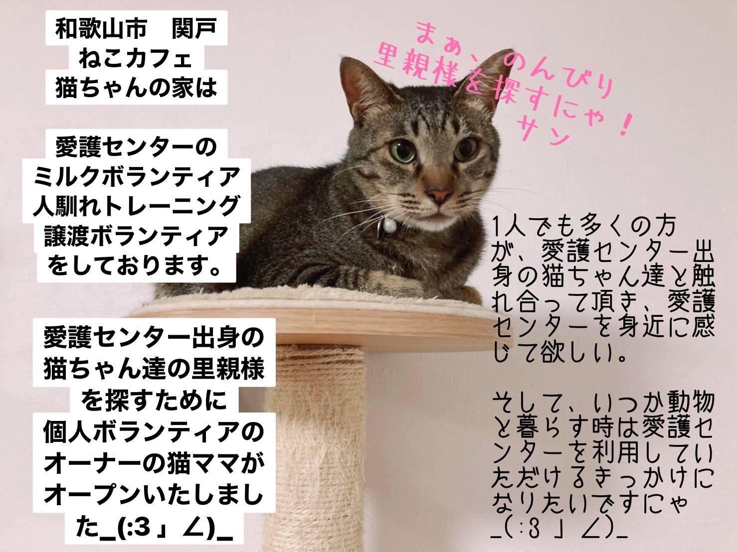 ねこママ様専用-