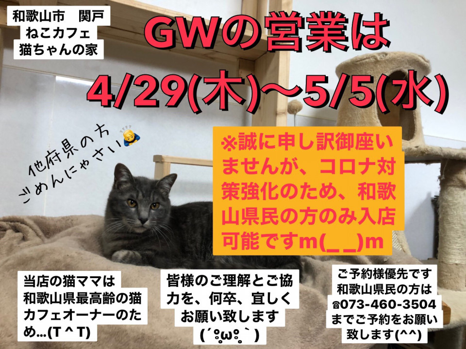 Gwの営業は4 29 木 5 5 水 です W ねこカフェ猫ちゃんの家