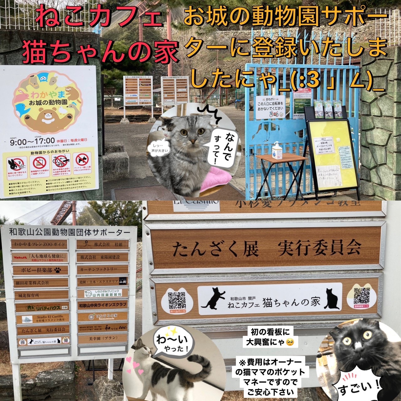 ねこカフェ猫ちゃんの家が和歌山城公園 動物園の団体サポーターになりました ねこカフェ猫ちゃんの家