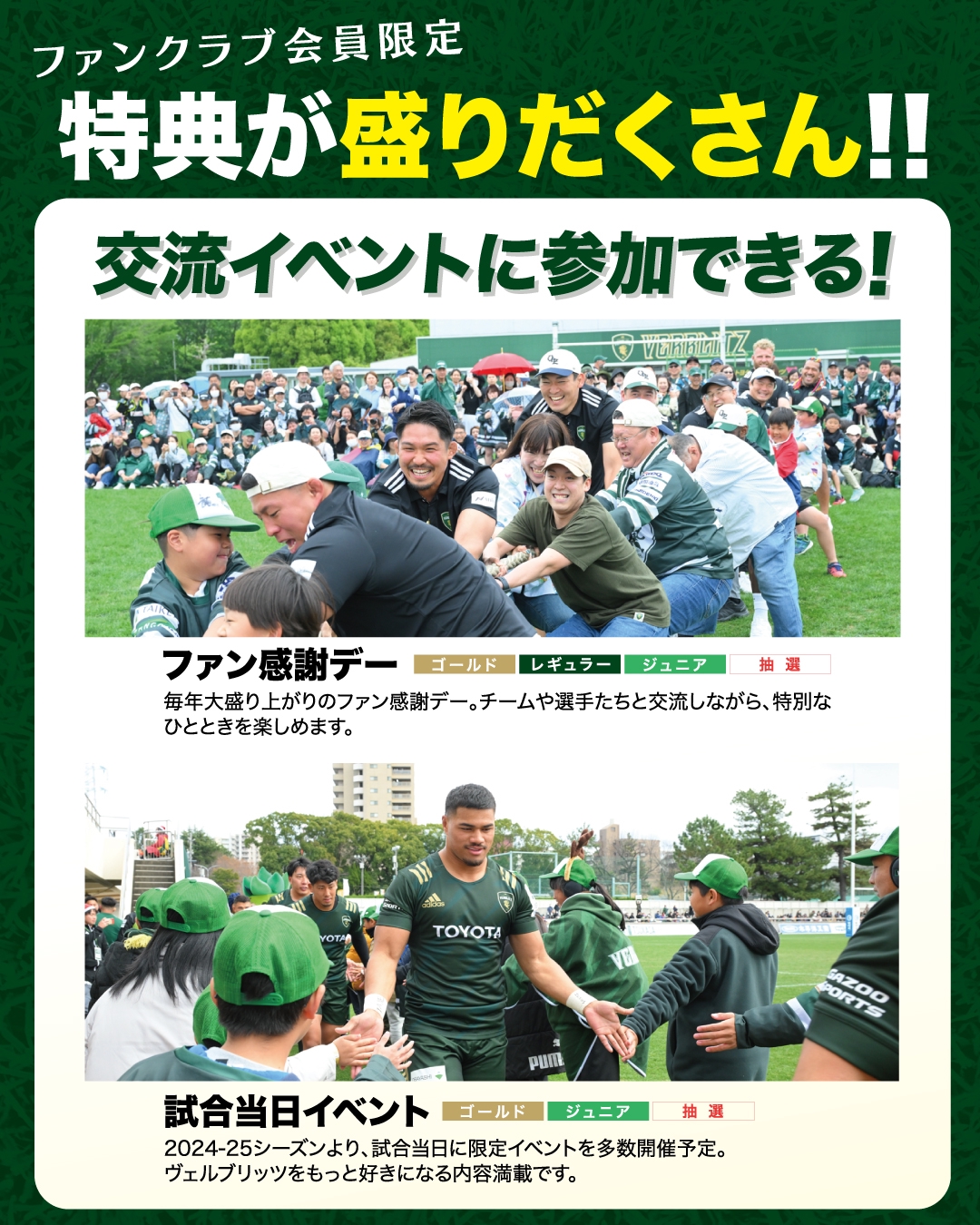 ラグビー2024-2025トヨタヴェルブリッツ 入会特典 限定オリジナルパーカー 2024-2025 トヨタヴェルブリッツ 入会特典 限定オリジナルパーカー
