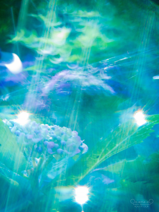 Illumina Opt Illuminar イルミナー 25mm F1 4 Peridot ペリドット 魅惑の宝石レンズ Kino Prismic Ema Photography