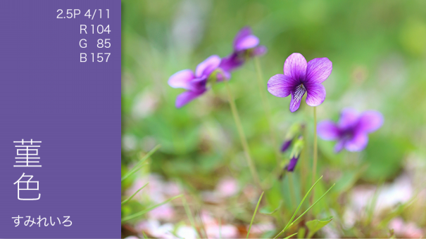 虹の色 バイオレット Sikisai Seikatsu 色彩生活オウンドメディア 色彩生活コーポレーション株式会社