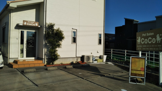 浜松市南区渡瀬町 ペットサロンココ 080 4304 1010 浜松市南区渡瀬町 ペットサロンココ 080 4304 1010