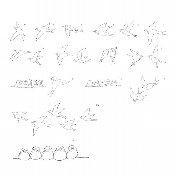 つばめ 冊子デザイン イラスト Reiko Takeshima