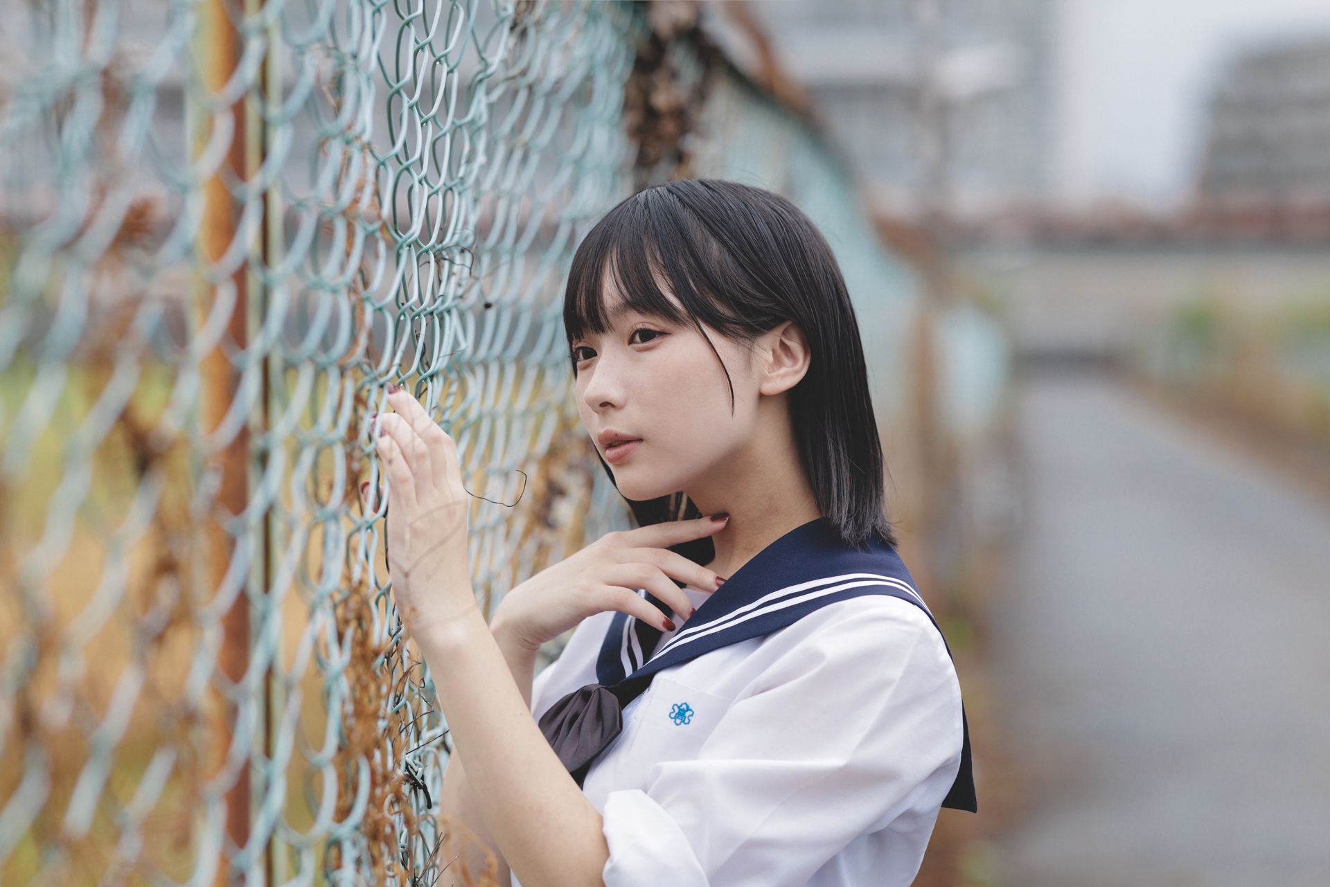 b55974591f459cb55c96d53123a62c