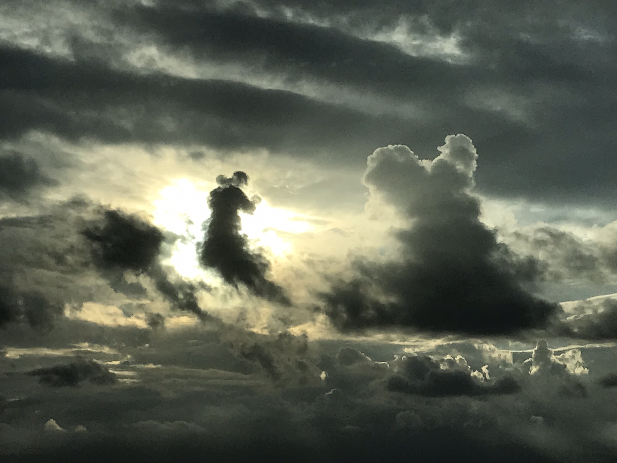 ソース画像を表示