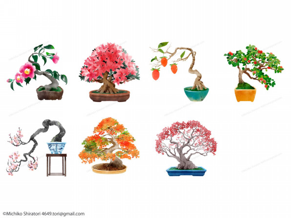 Japan Bonsai Webイラスト 白鳥みちこ Illust Work