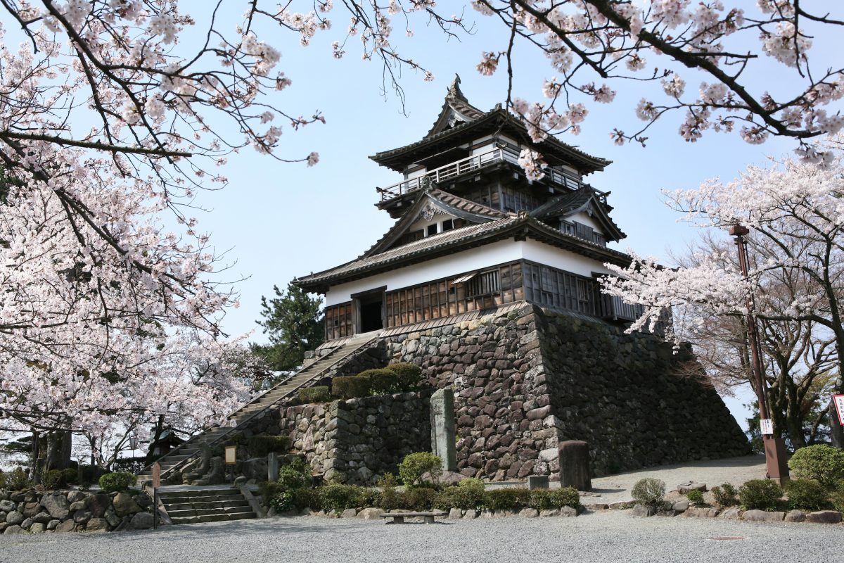 北陸新幹線開業記念】越前若狭 春の御城印 龍門寺城 御城印 不破光治-