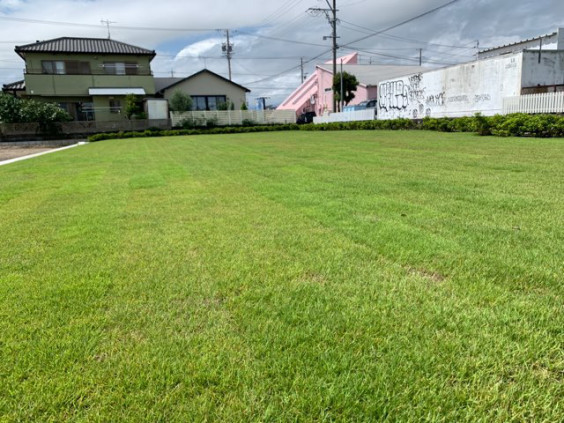 芝張りを行いました Ai Garden 芝張りを行いました Ai Garden