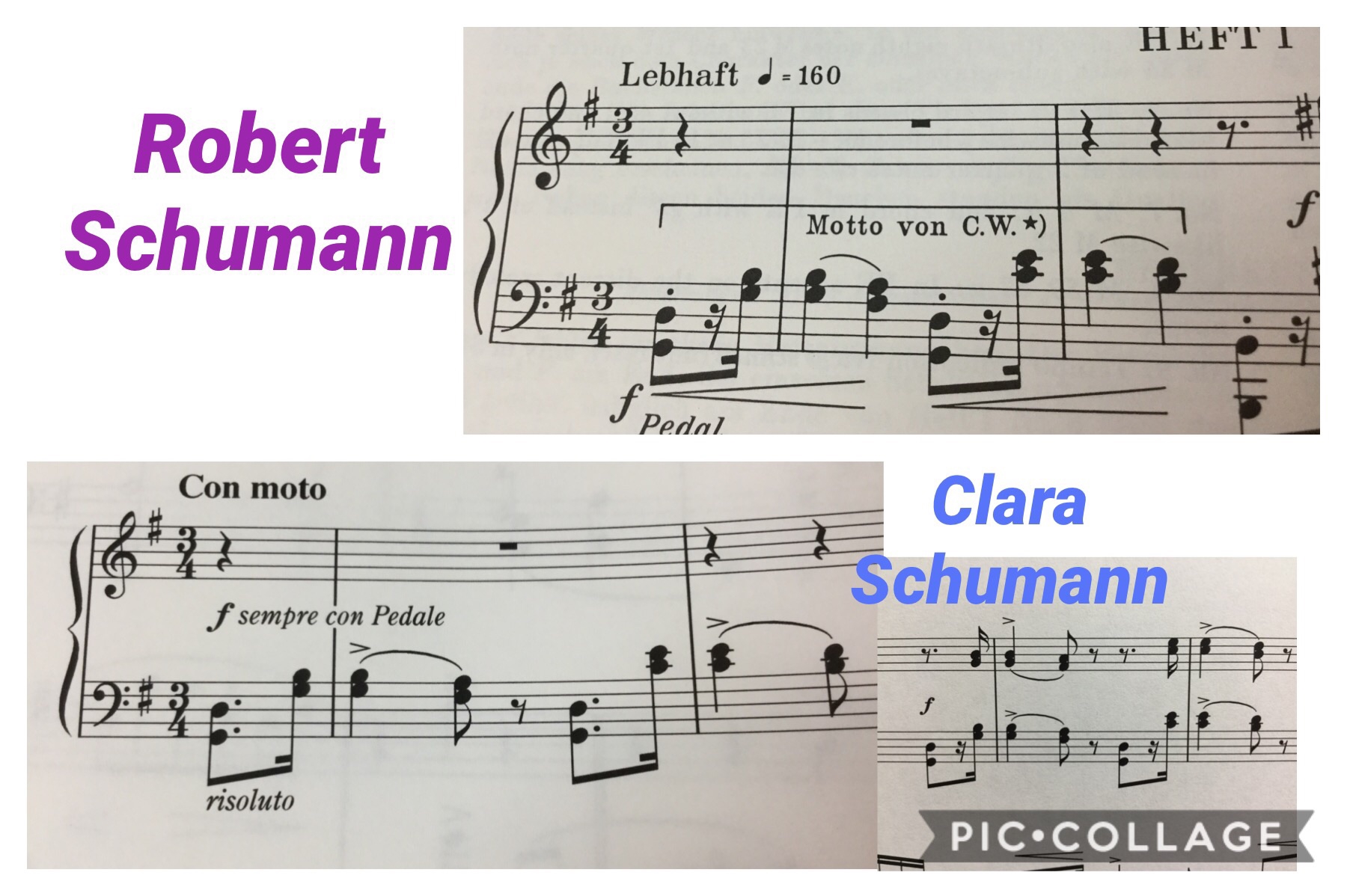 Clara u0026 Robert Schumann | Maki ONO