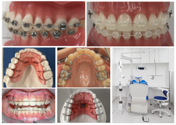 楽天スーパーセール 歯科矯正学における3D診断および治療計画- 歯科 