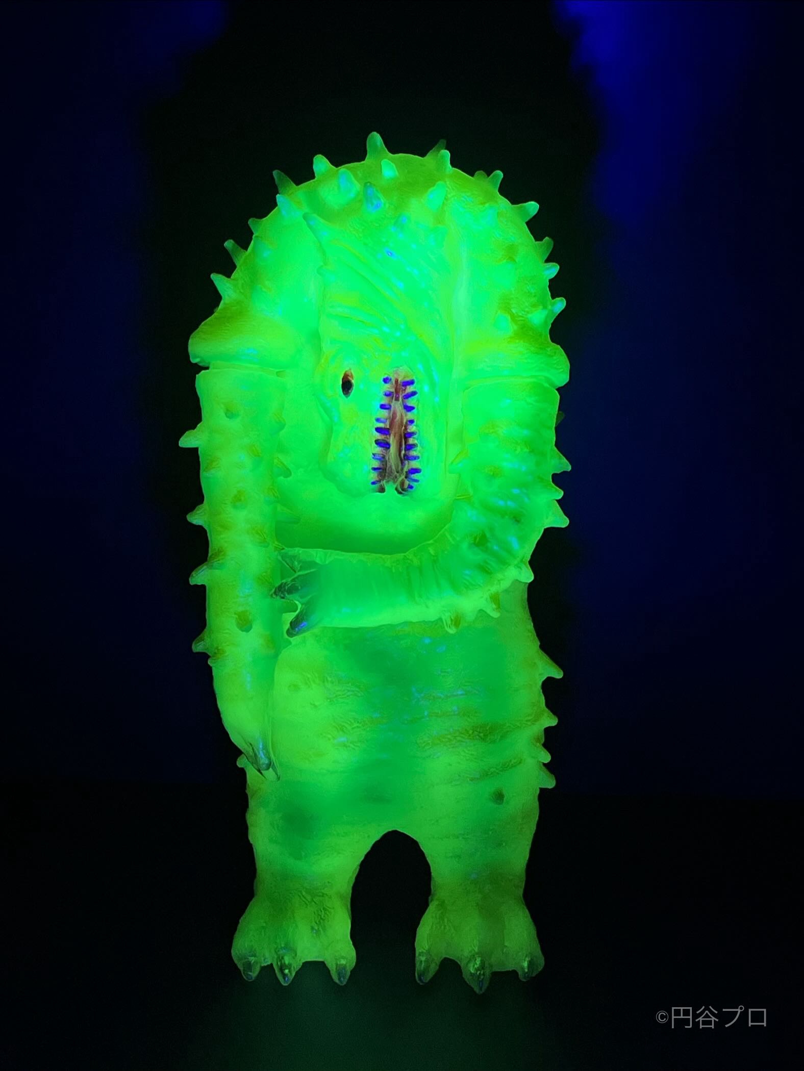 LEOそふび坊や LEO SOFVI BOUYA