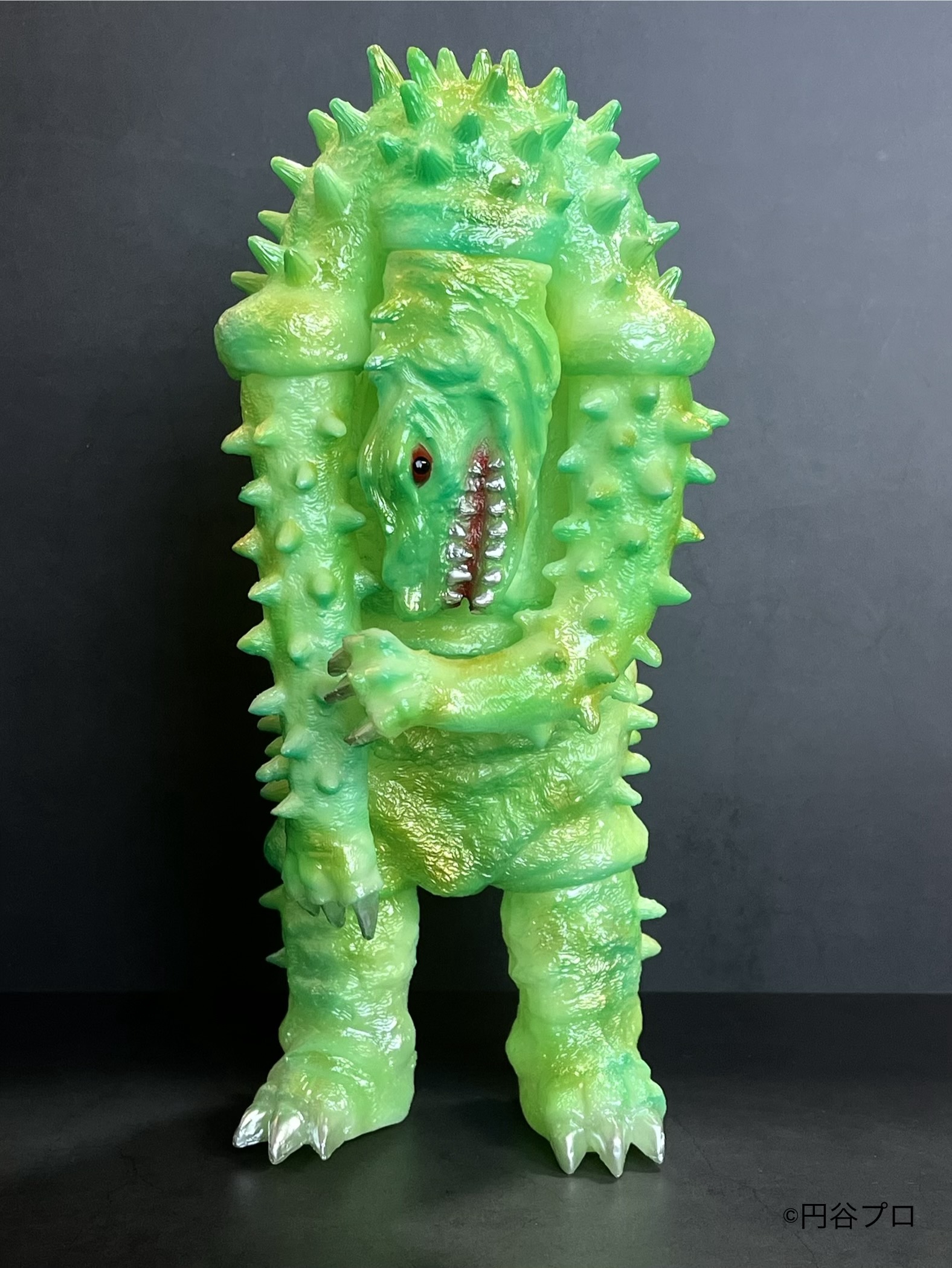 LEOそふび坊や LEO SOFVI BOUYA