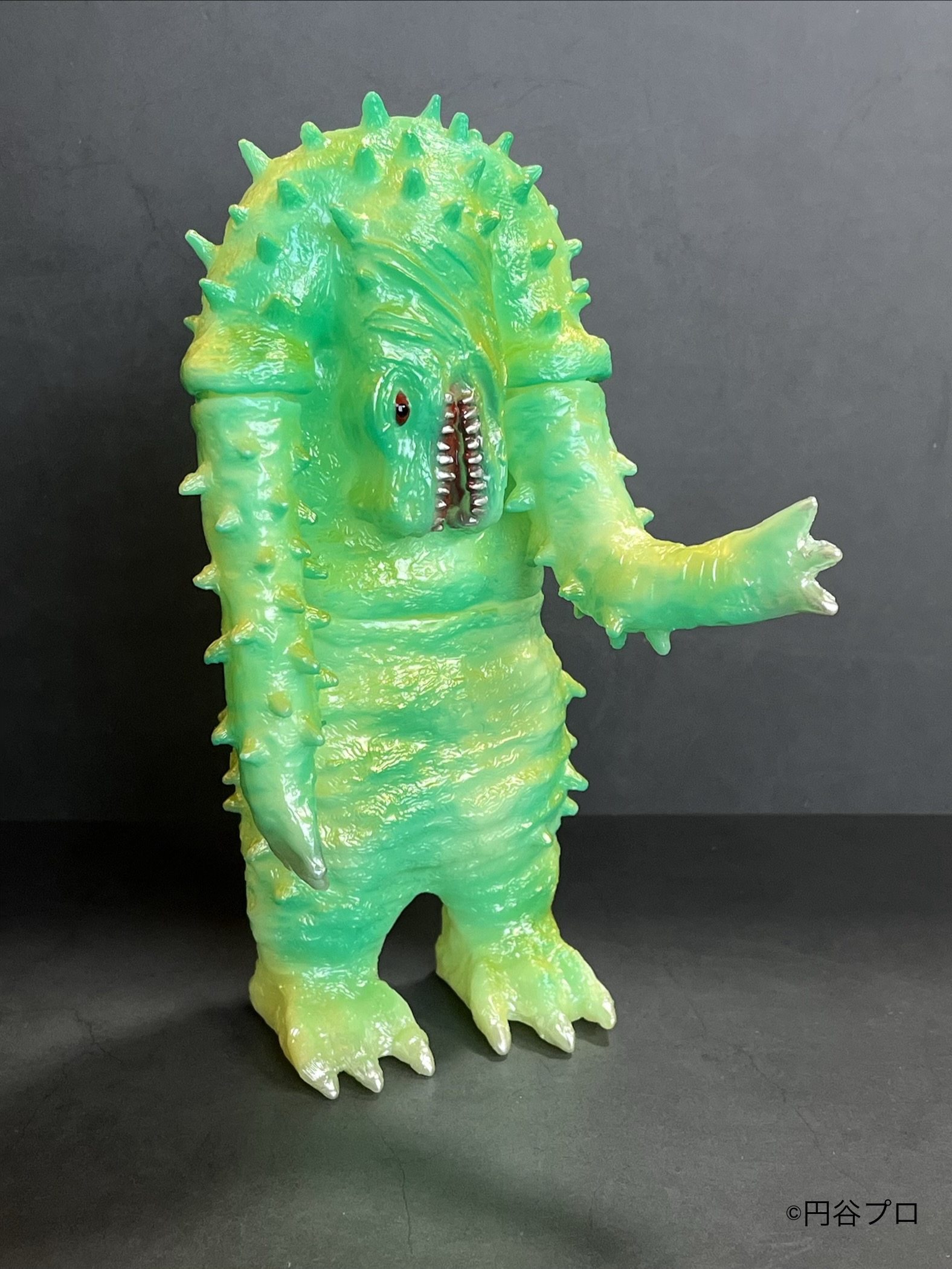 LEOそふび坊や LEO SOFVI BOUYA