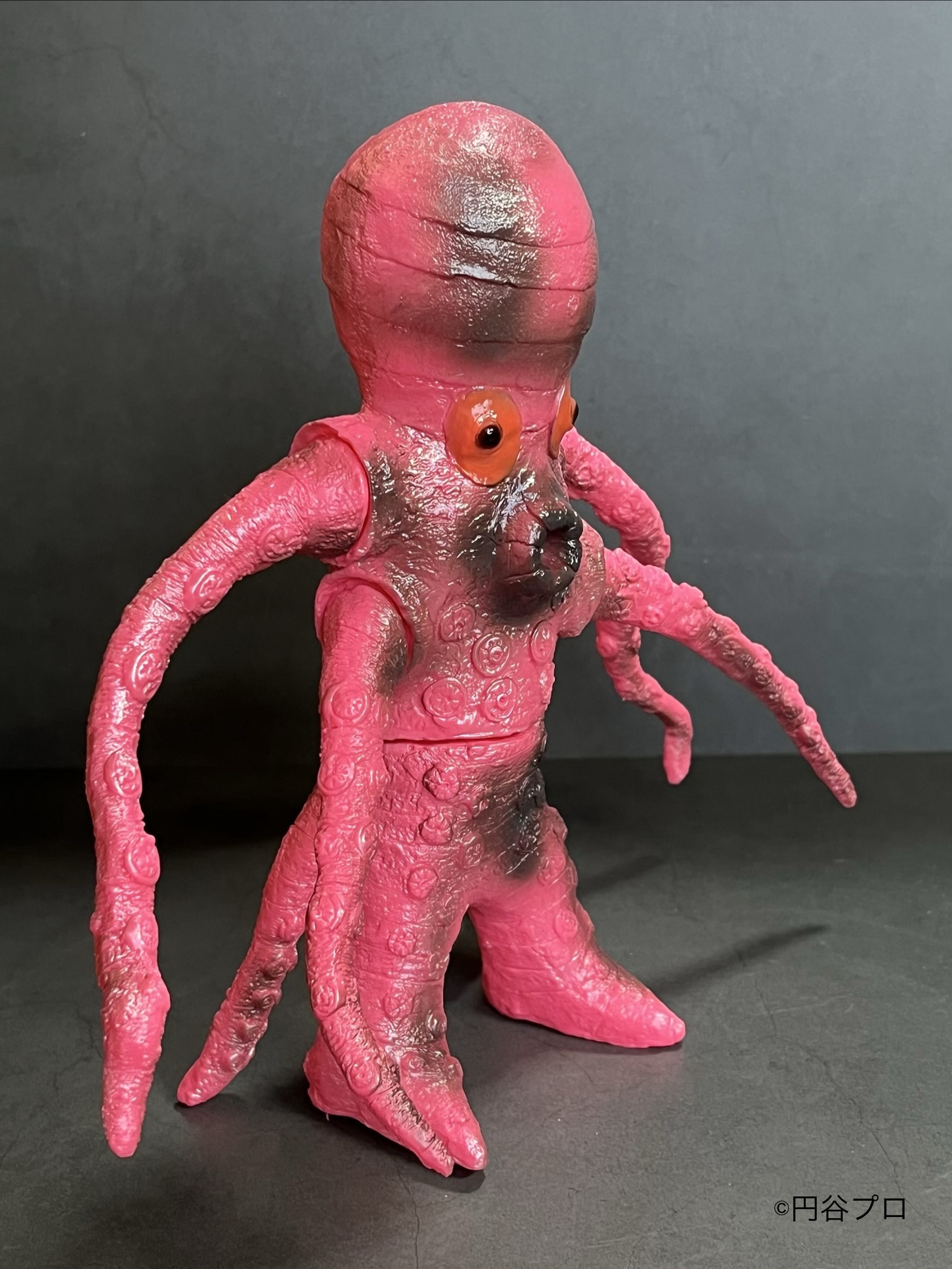 LEOそふび坊や LEO SOFVI BOUYA